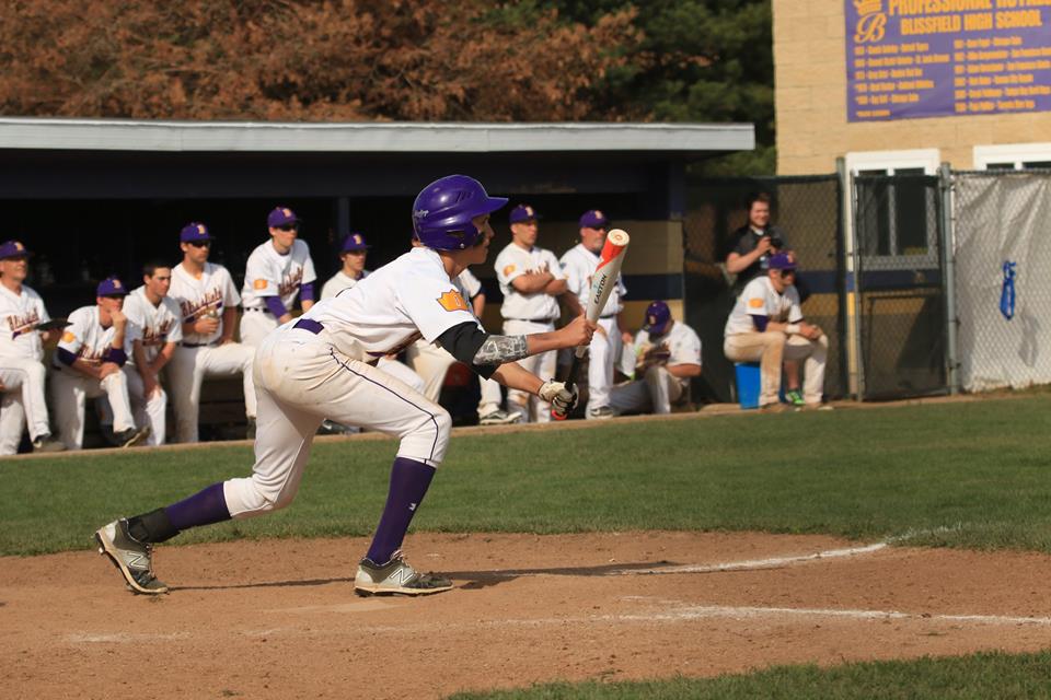 Blissfield Athletics Baseball 2015
