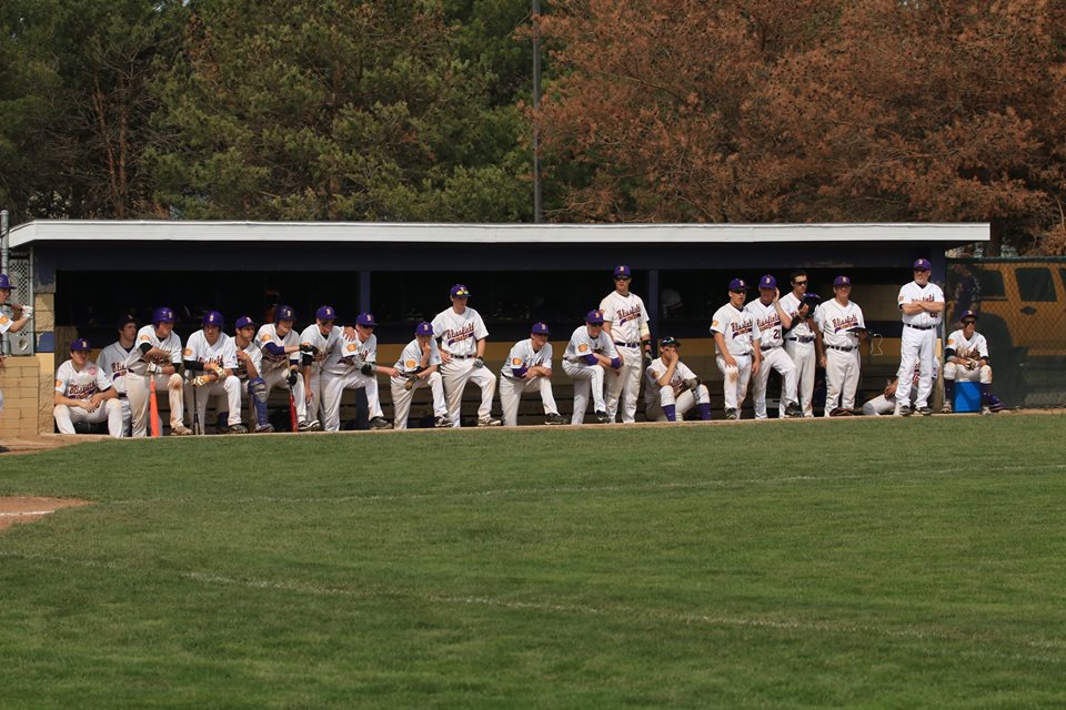 Blissfield Athletics Baseball 2015