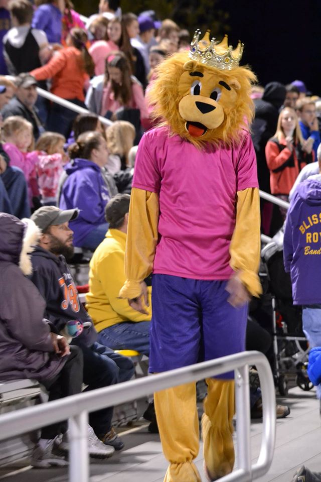 Blissfield Athletics 2015 Football